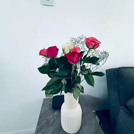 Holly Terrace - 2 Bedrooms - Sleeps 3 Tatil Evi Whitehaven